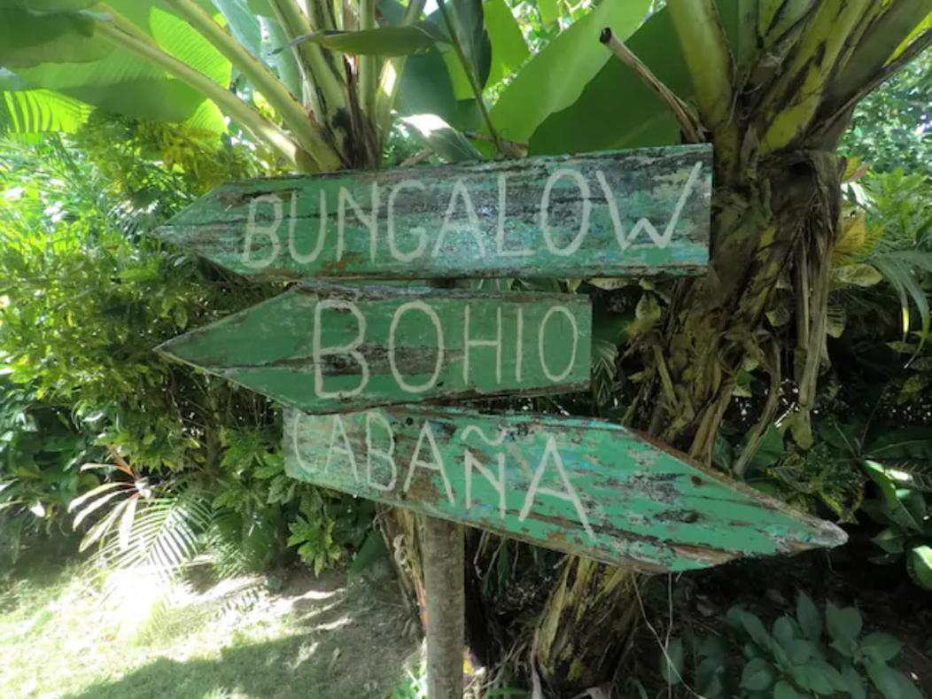 فندق Dream Glamping Jungle Bohio لاس تاريناس المظهر الخارجي الصورة