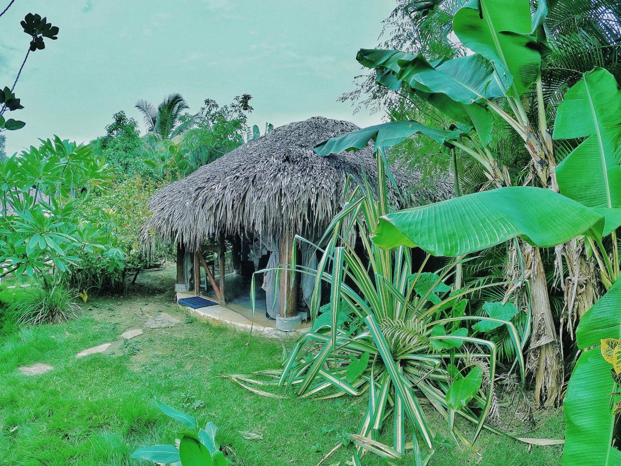 فندق Dream Glamping Jungle Bohio لاس تاريناس المظهر الخارجي الصورة