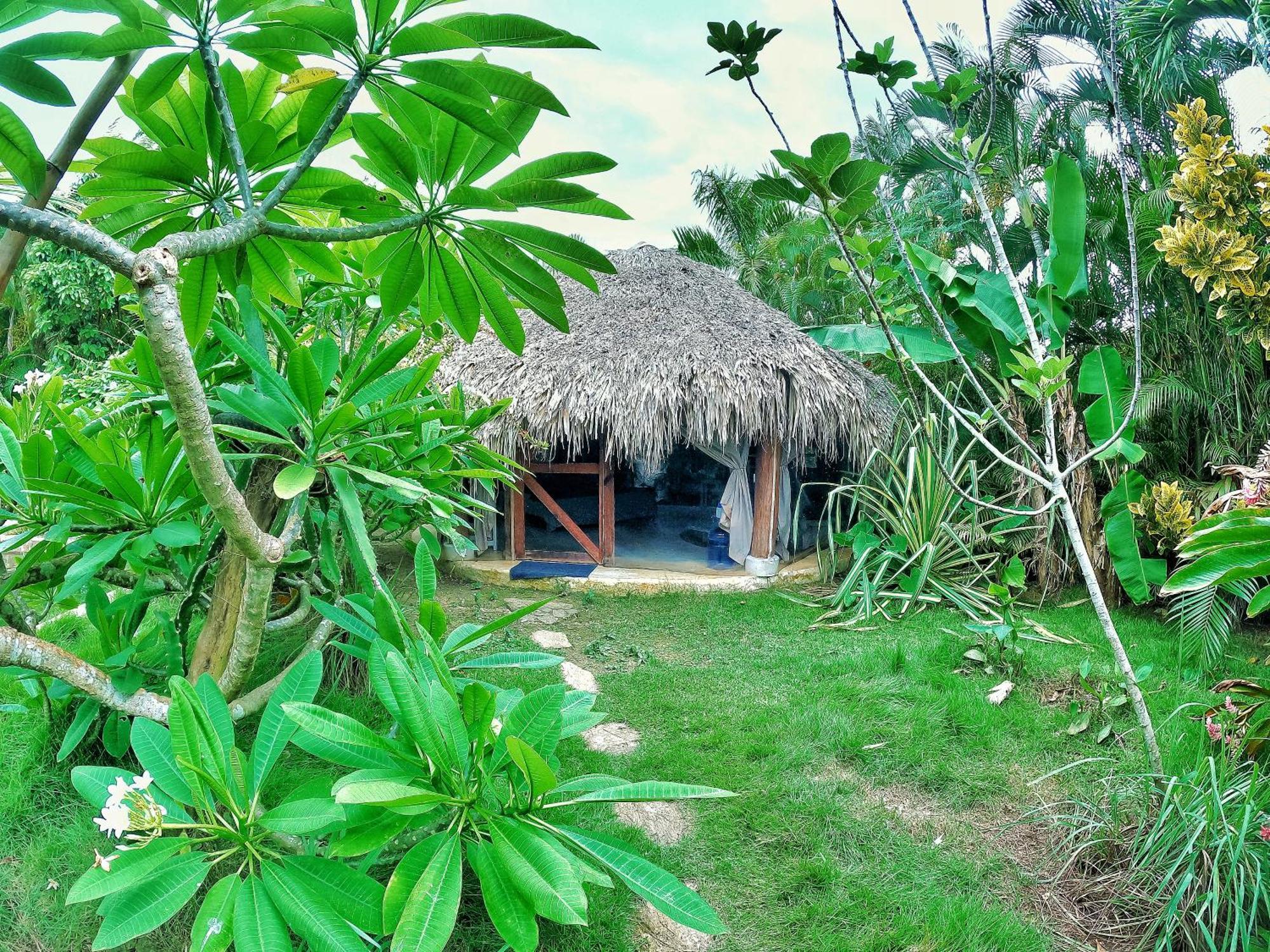 فندق Dream Glamping Jungle Bohio لاس تاريناس المظهر الخارجي الصورة