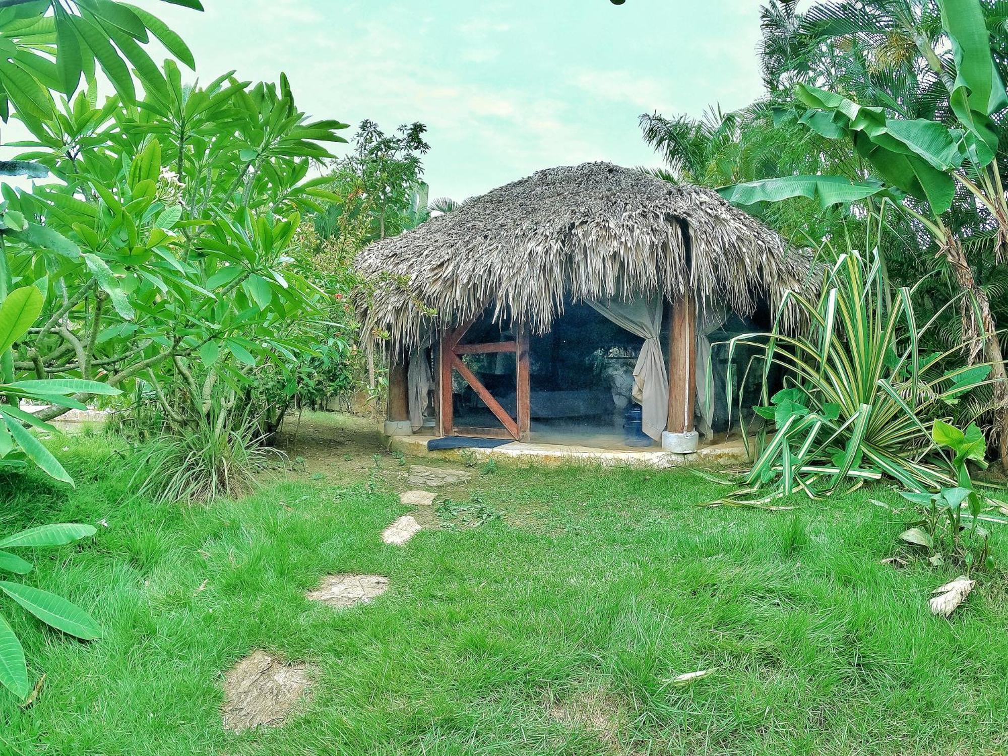 فندق Dream Glamping Jungle Bohio لاس تاريناس المظهر الخارجي الصورة